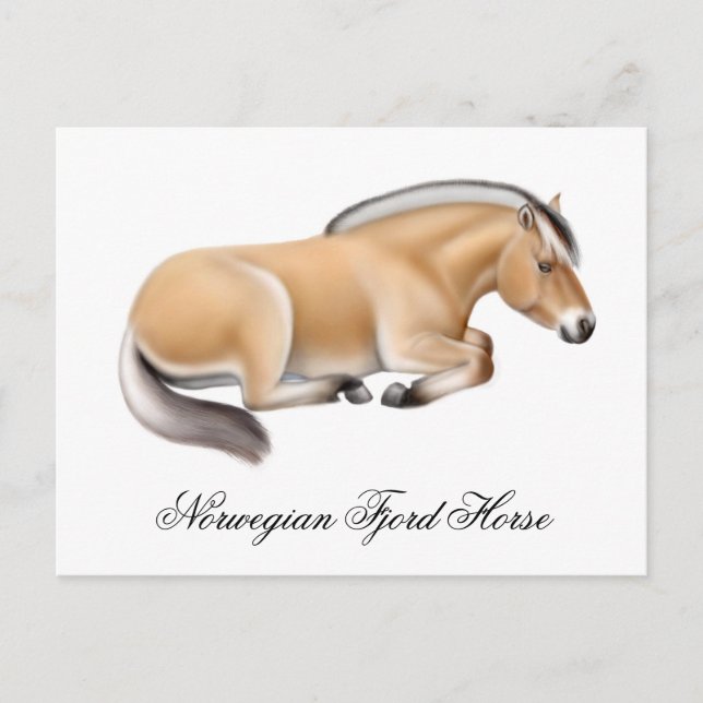 Norwegische Pferdepiste Postkarte (Vorderseite)