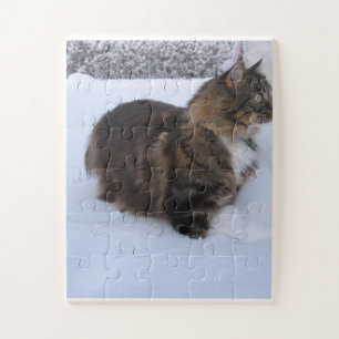 Norwegische Waldkatze im Schnee