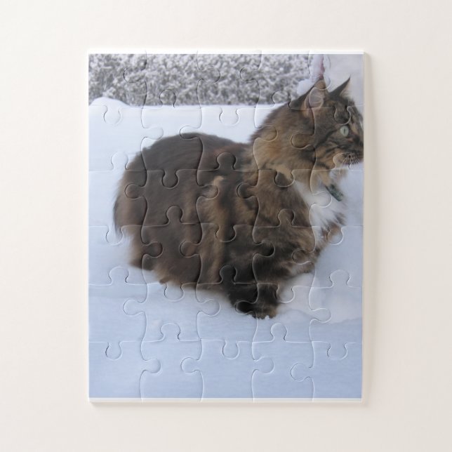 Norwegische Waldkatze im Schnee (Vertikal)