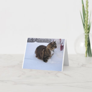 Norwegische Waldkatze im Schnee Dankeskarte