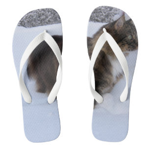 Norwegische Waldkatze im Schnee Flip Flops