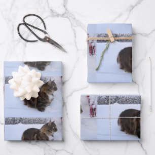Norwegische Waldkatze im Schnee Geschenkpapier Set