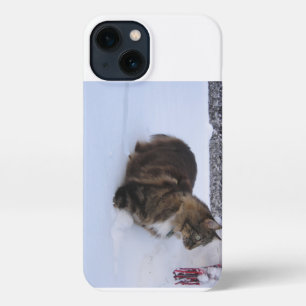 Norwegische Waldkatze im Schnee iPhone Hülle