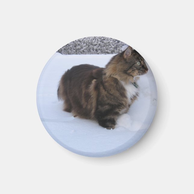 Norwegische Waldkatze im Schnee Magnet (Vorne)