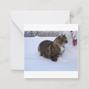 Norwegische Waldkatze im Schnee Mitteilungskarte