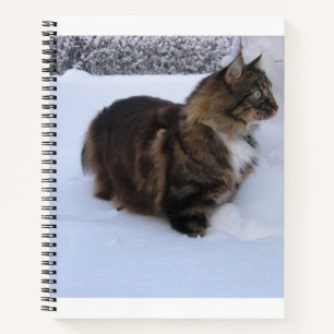 Norwegische Waldkatze im Schnee Notizbuch