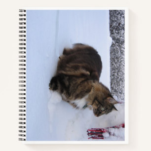 Norwegische Waldkatze im Schnee Notizbuch