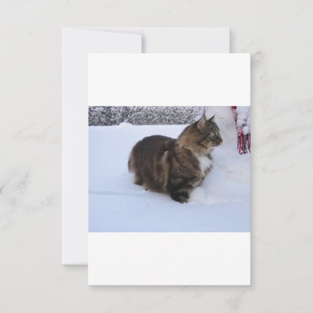 Norwegische Waldkatze im Schnee Save The Date (Vorderseite)