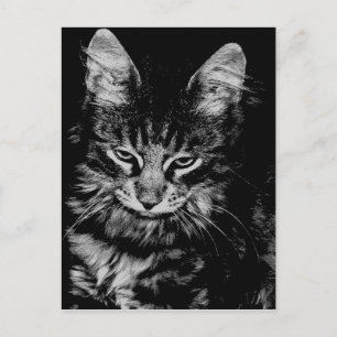 Norwegische Waldkatze Postkarte