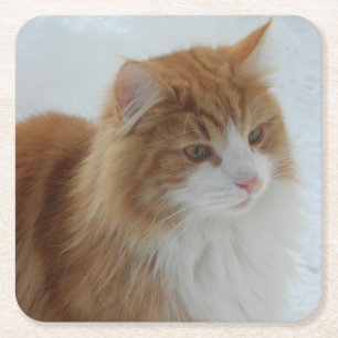 Norwegische_Waldkatze Rechteckiger Pappuntersetzer