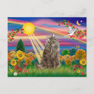 Norwegische Waldkatze Tabby - Herbstsonne Postkarte