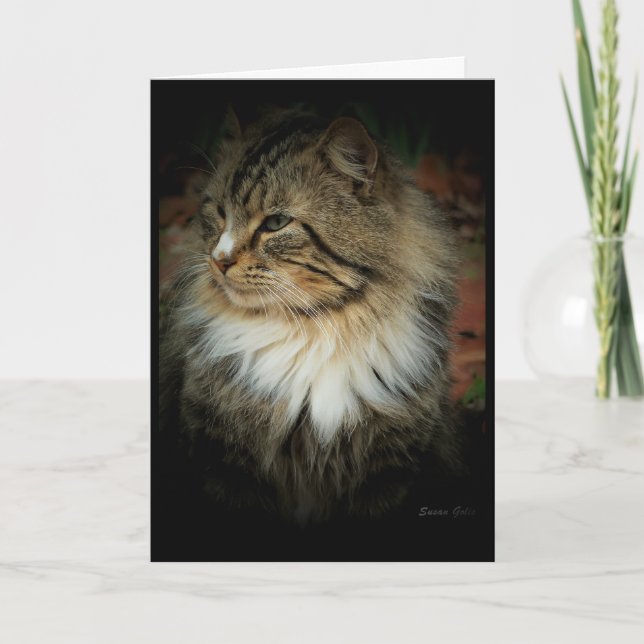 Norwegische Waldkatze Vermisst You Card Karte (Vorderseite)