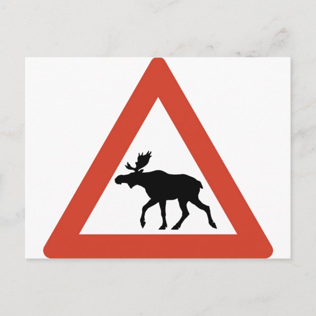 Norwegischer Elch Postkarte (Vorderseite)