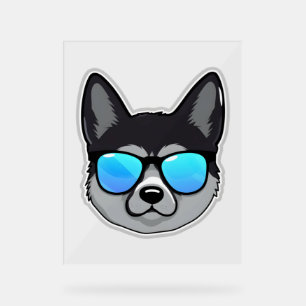 Norwegischer Elkhound in Cooler Sonnenbrille Class Acrylschild