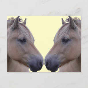 Norwegischer Fjord Postkarte