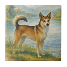 Norwegischer Lundehund