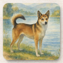 Norwegischer Lundehund