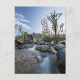 Norwegisches Foto Feiertagspostkarte