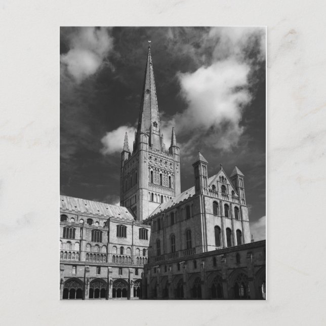 Norwich Cathedral, Norfolk, England Postkarte (Vorderseite)