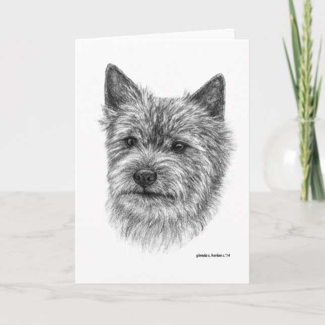 Norwich Terrier Art von Glenda S. Harlan (Vorderseite)