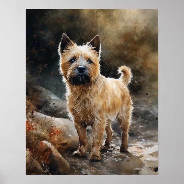 Norwich Terrier Dog Art Print Poster (Vorne)