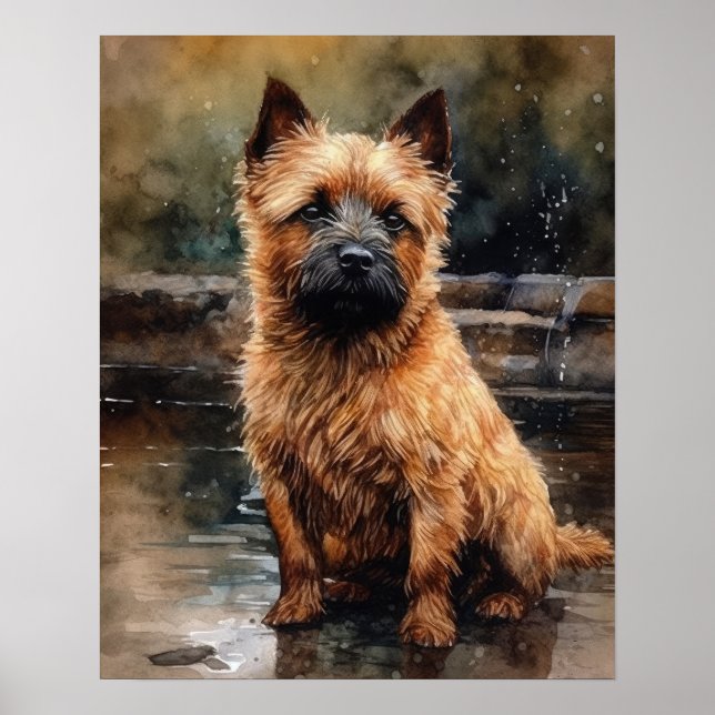Norwich Terrier Dog Art Print Poster (Vorne)