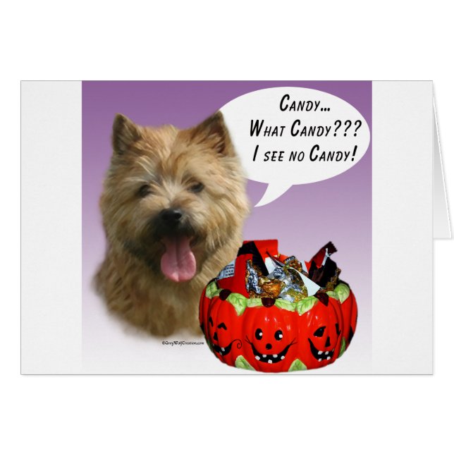Norwich Terrier Halloween Candy (Devant horizontal)