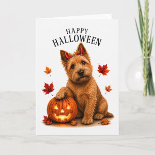 Norwich Terrier Halloween Teufelshund Karte