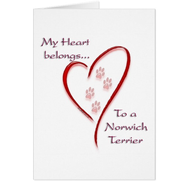 Norwich Terrier Heart Belongs (Vorne)