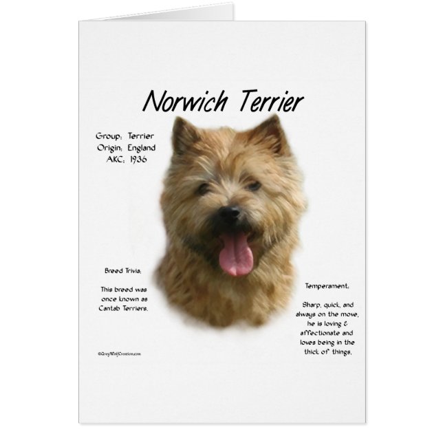 Norwich Terrier History Design (Vorne)