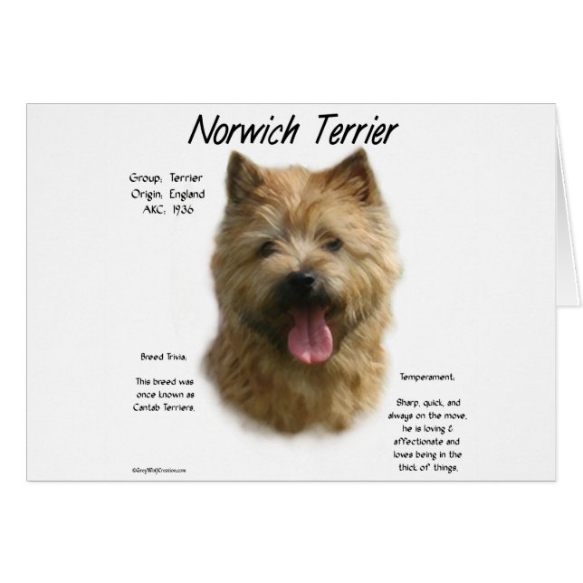 Norwich Terrier History Design (Vorderseite (Horizontal))