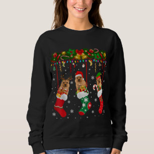 Norwich Terrier in Sock Xmas Rentier Santa ELF Do Sweatshirt