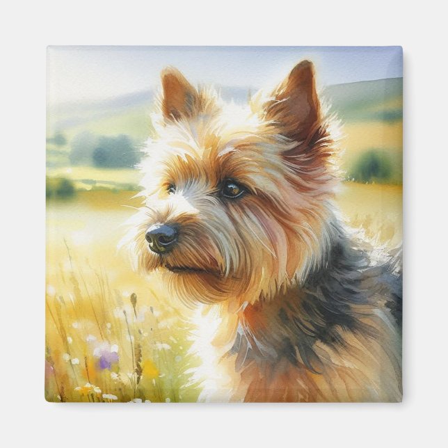 Norwich Terrier Magnet (Vorne)