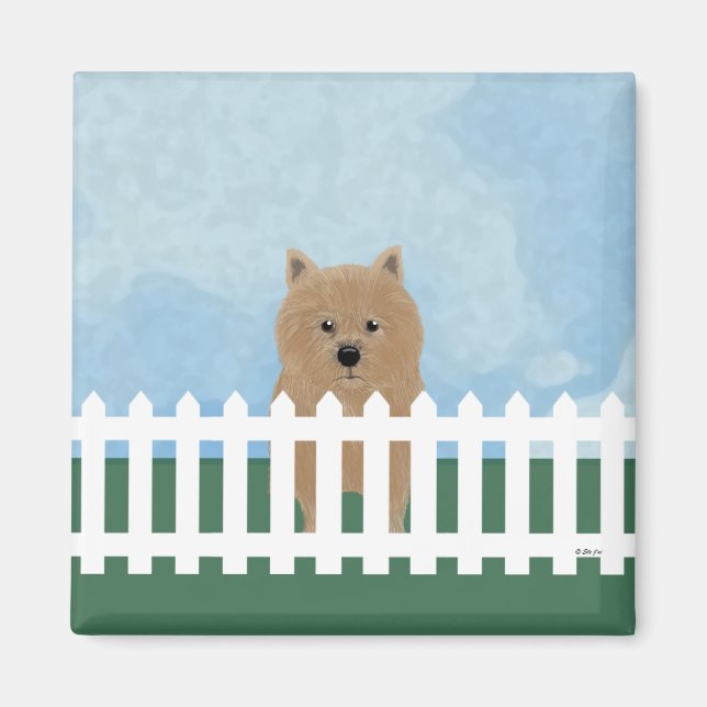 Norwich Terrier Magnet (Devant)