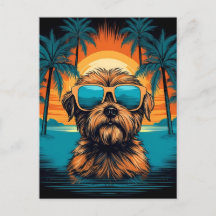 Norwich Terrier mit Sonnenbrille am Strand