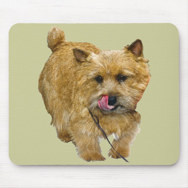 Norwich Terrier Mousepad (Vorne)