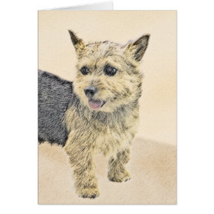 Norwich Terrier Peinture - Cute Original Chien Art