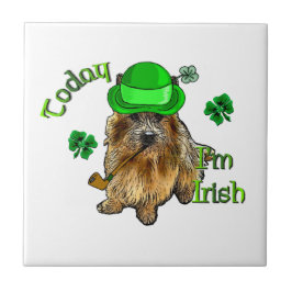 Norwich Terrier St Patricks Fliese