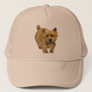 Norwich Terrier Truckerkappe