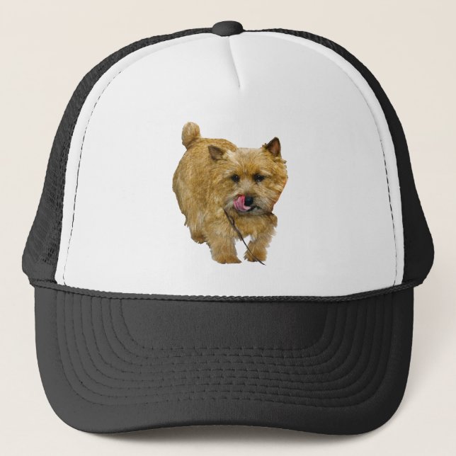 Norwich Terrier Truckerkappe (Vorderseite)