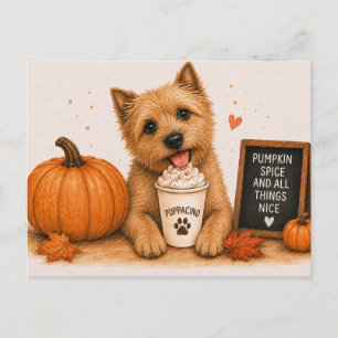 Norwich Terrier Warmes Kürbisgewürz Herbst Postkarte