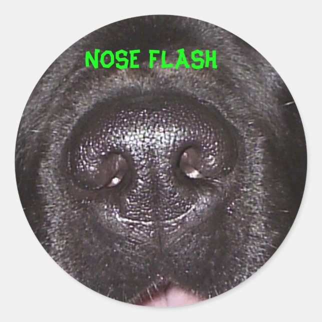NOSE FLASH RUNDER AUFKLEBER (Vorderseite)
