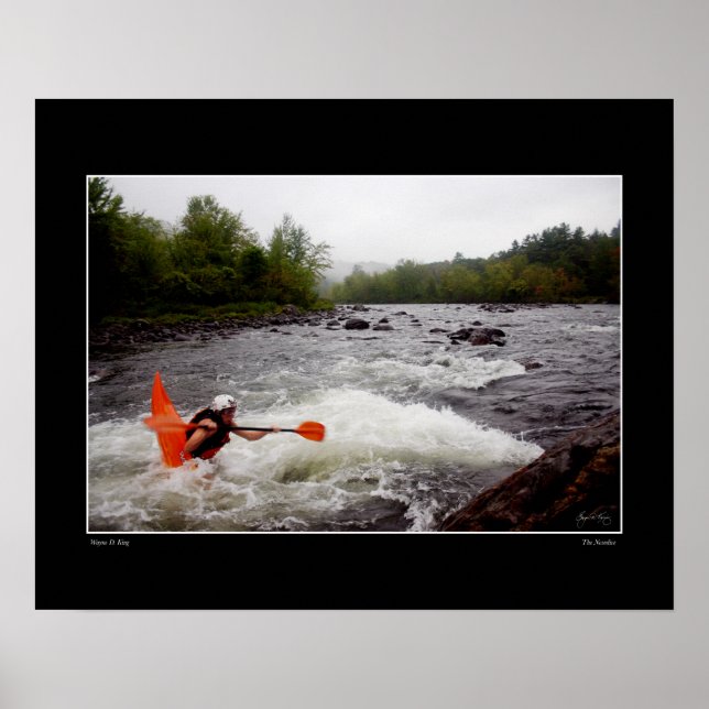 Nosedive Poster (Vorne)