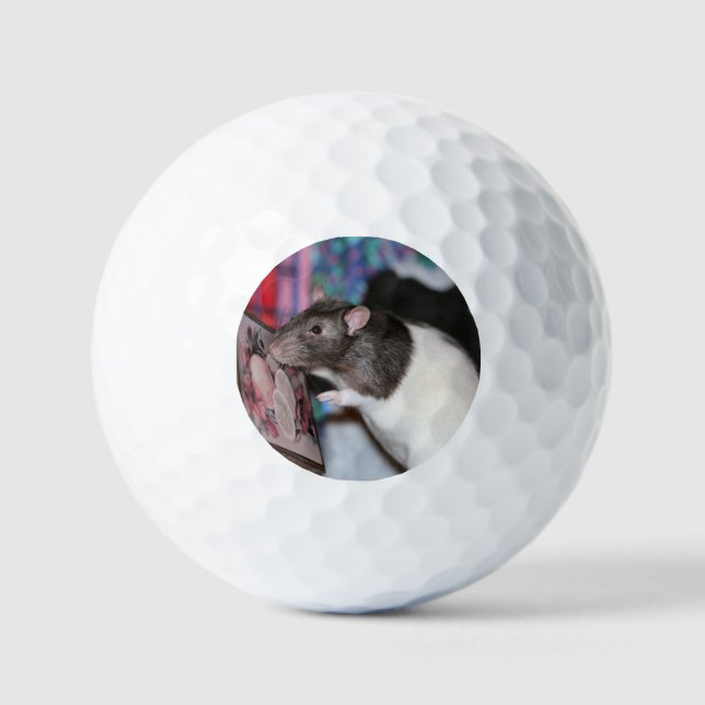 Nosey Golfball (Vorderseite)