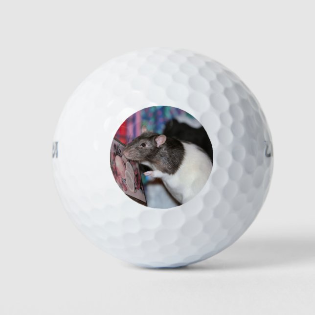 Nosey Golfball (Vorderseite)
