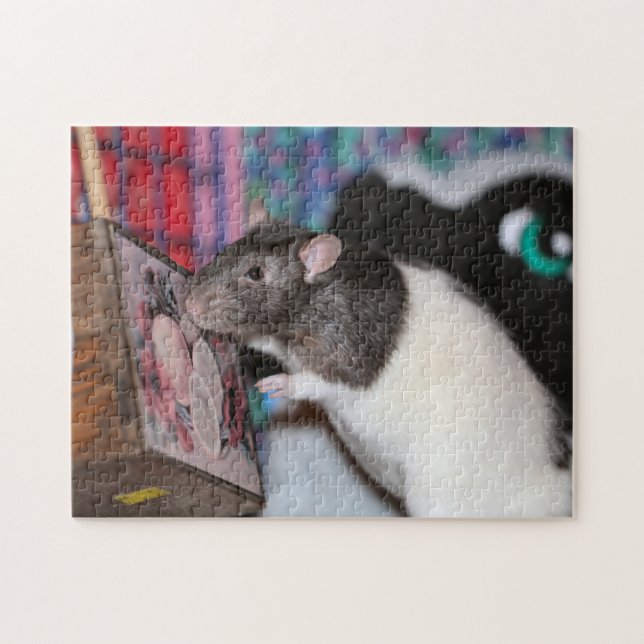 Nosey rat (Horizontal)