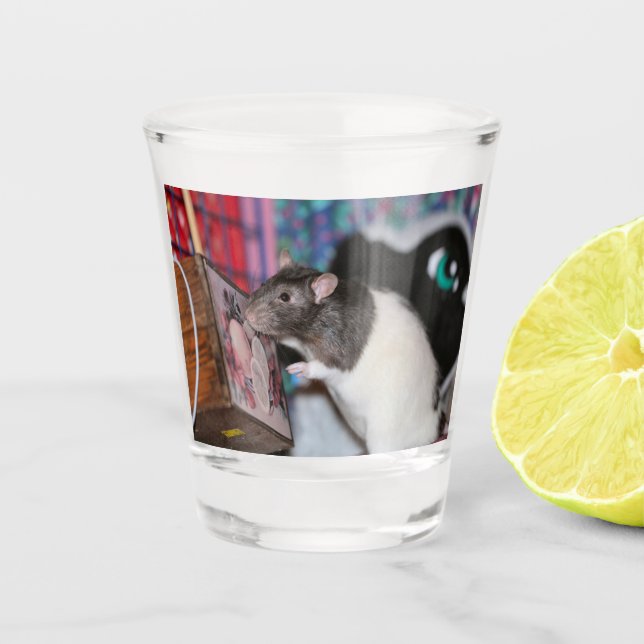 Nosey Rat Schnapsglas (Vorderseite)