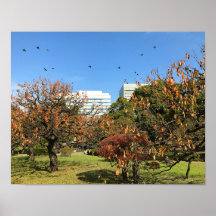 Nostalgic Autumn Sky