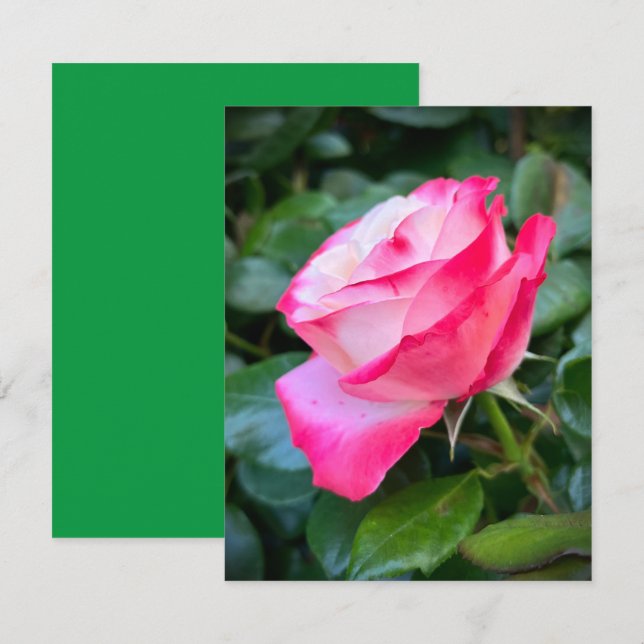 Nostalgie Rose Nostalgie Karte (Vorne/Hinten)