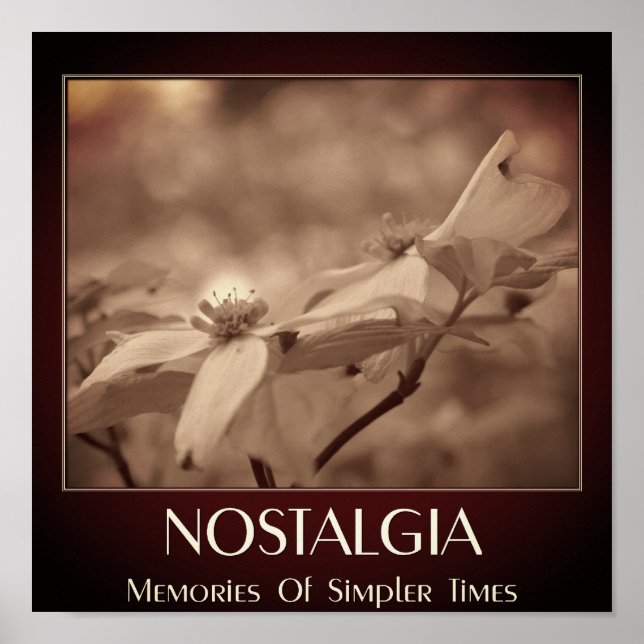 Nostalgie Sepia Dogwood Blume Poster (Vorne)